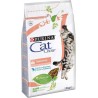 Croquettes pour chat Purina Cat Chow - Saumon