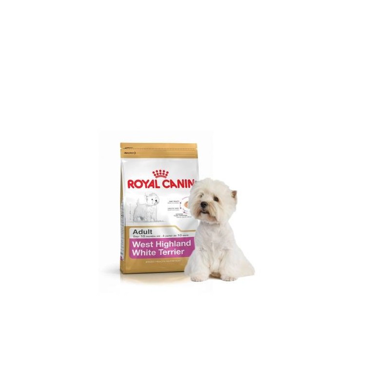 Croquettes Royal Canin pour Westie