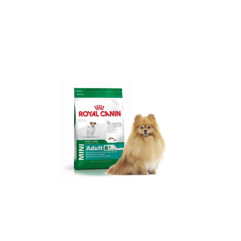 Royal Canin dry food for adult small breed dog