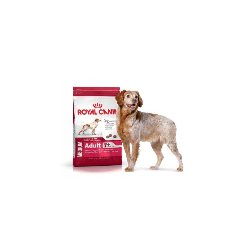 Croquettes Royal Canin pour chien de race moyenne