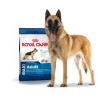 Alimento seco Royal Canin Maxi para perro grande